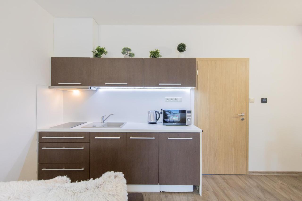 Apartman Sophia 4 S Terasou Velké Losiny Zewnętrze zdjęcie